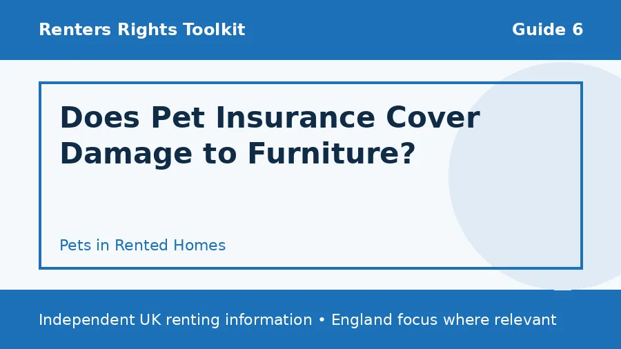Does Pet Insurance Cover Damage to Furniture? guide illustration